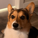 Imperious