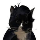 frigglus
