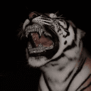 Strika